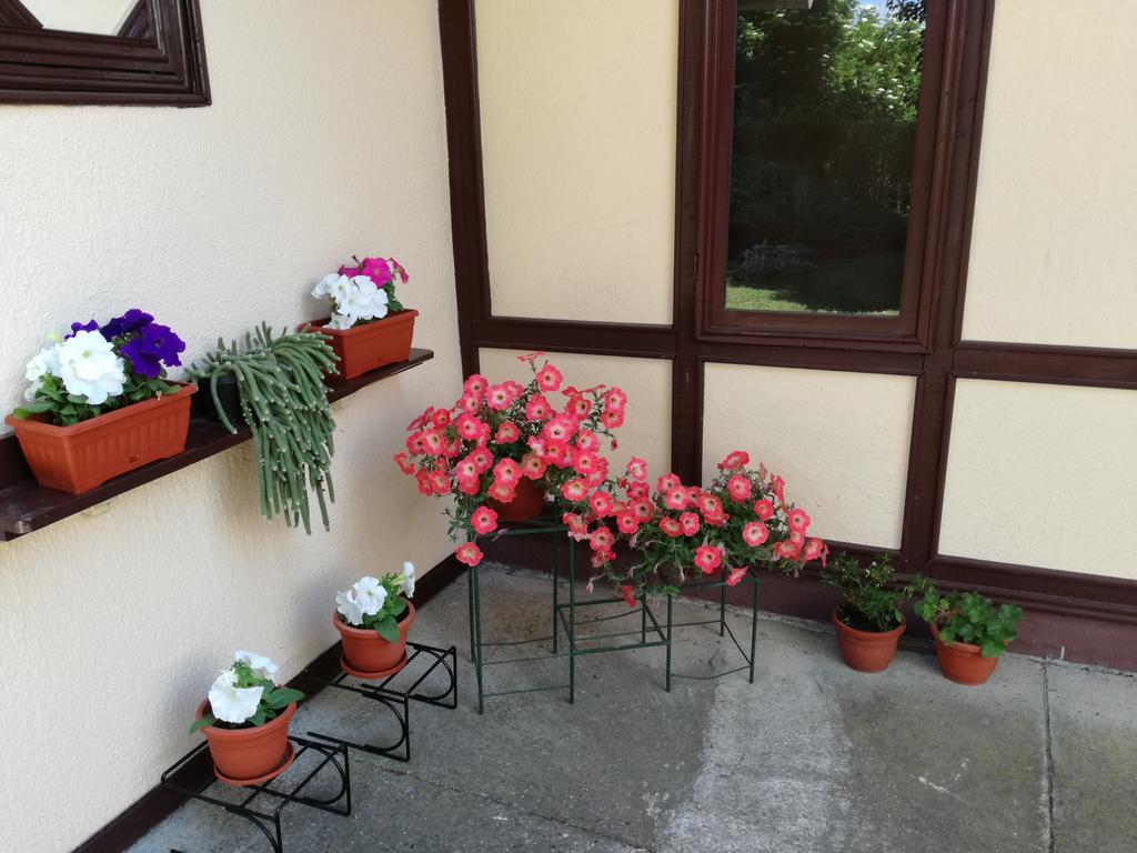 Stara Breza 1 Rooms Palić Exterior foto